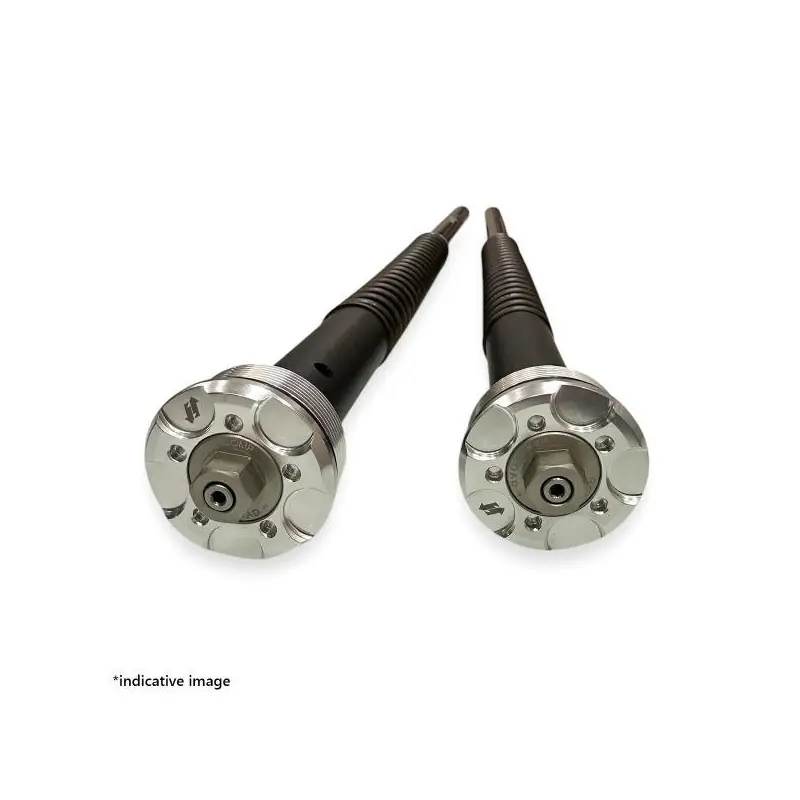 ANDREANI | Kit cartucce forcella "Misano EVO 2" per Ducati Monster 696 2007-2014 (Showa) Nuovo Arrivo