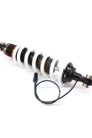 Compra Adesso TRACTIVE | Ammortizzatore anteriore eX-CITE per BMW R1250 GS 2018-2024 (Ribassato factory)