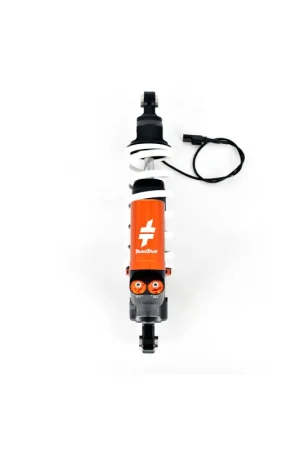 Ultimissimo Modello TRACTIVE | Ammortizzatore anteriore eX-PERIENCE per BMW R1250 GS 2018-2024 (Ribassato -25mm)