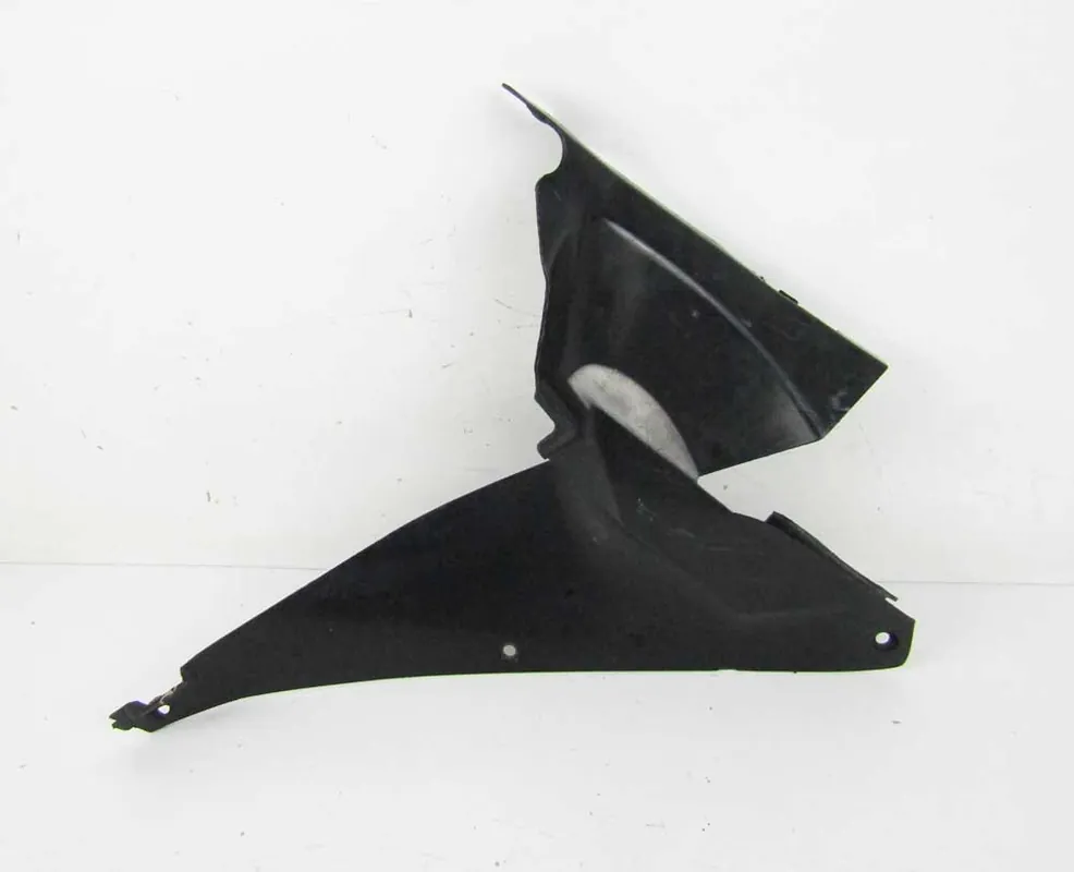 Esclusivo Pannello Plastica Interno Sinistro HONDA RR CBR 1000 RR4 FIREBLADE 04-05