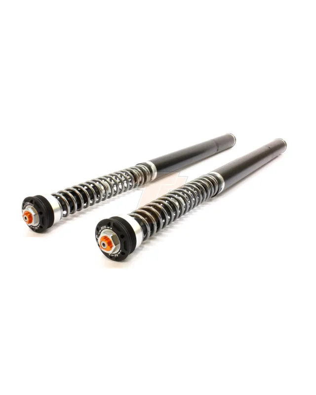 Ultimissimo Modello TRACTIVE | Cartucce Forcella X-TREME per KTM 790 / 890 ADVENTURE R 2019-2025