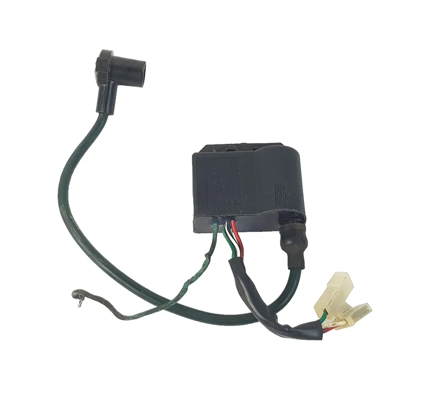 Quantità Limitata CDI Centralina Elettronica Ducati MALAGUTI PHANTOM F12 50 2T 1994 - 2000