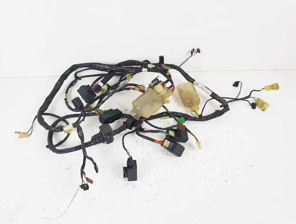 Cablaggio Impianto Elettrico HONDA FES PANTHEON 125 150 2T 1998 - 2002 Offerta