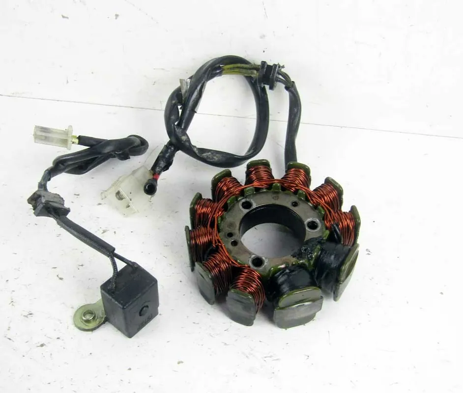 Campo Magnetico Statore Generatore KYMCO DINK LX 125 150 1998 2002 Spedito Oggi