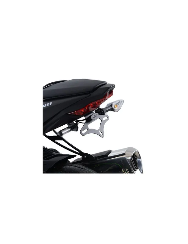 Occasione Imperdibile Portatarga Kawasaki ZX 636 '19