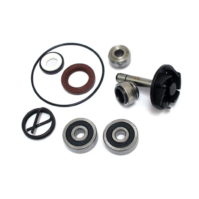 Offerta Limitata Kit revisione pompa Acqua APRILIA Atlantic (SPB00) 250 CC 03/05 WPR-32