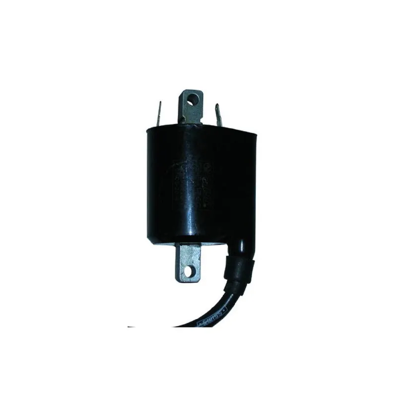 Bobina alta tensione APRILIA Leonardo 125 CC 96/98 0010557 Offerta Speciale