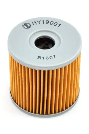 Meiwa HY19001 Filtro Olio HYOSUNG GT Comet 650 CC 04/05 Bestseller