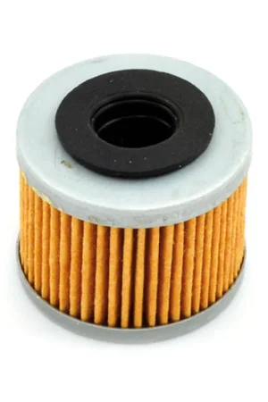 Meiwa P5009 Filtro Olio APRILIA MXV 450 CC 08/14 Scelto Dai Clienti